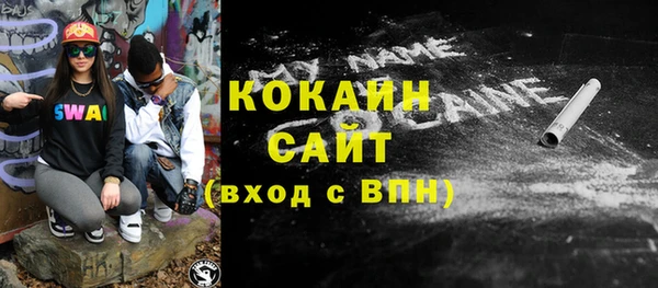 соль ск Алексин