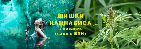 соль ск Алексин