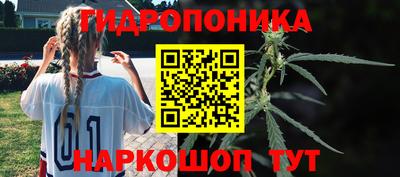 ПСИЛОЦИБИНОВЫЕ ГРИБЫ Краснокаменск