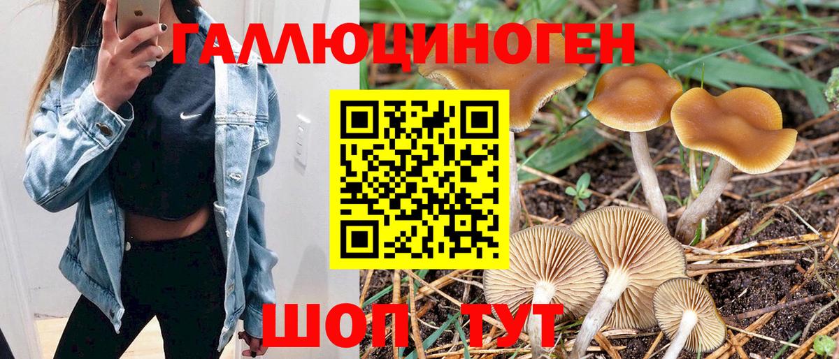 Галлюциногенные грибы GOLDEN TEACHER Изобильный
